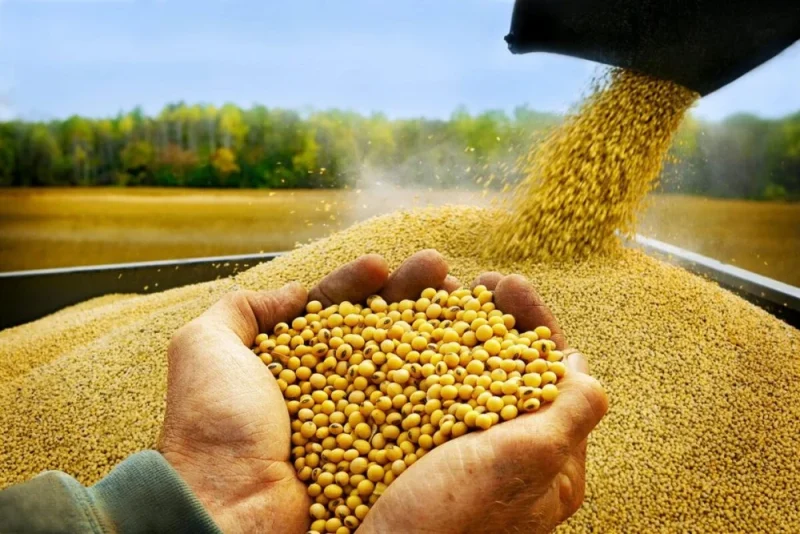 Những mặt hàng nông sản Việt Nam nhập khẩu nhiều nhất